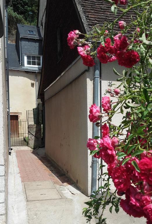 La Petite Lucette Vila Amboise Exterior foto